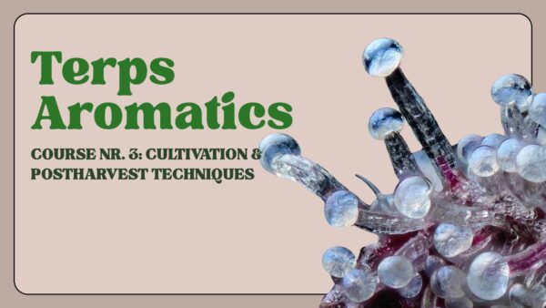 Course Nr. 3: Cultivation and Post-Harvest Techniques