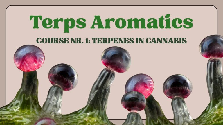 Course Nr. 1: Terpenes in Cannabis