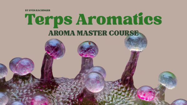 Master Course