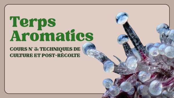 Cours n°3: Techniques de culture et post-récolte (Membres AFPC)